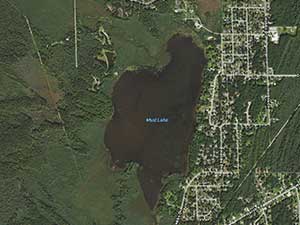 Mud Lake Homes and Land for Sale